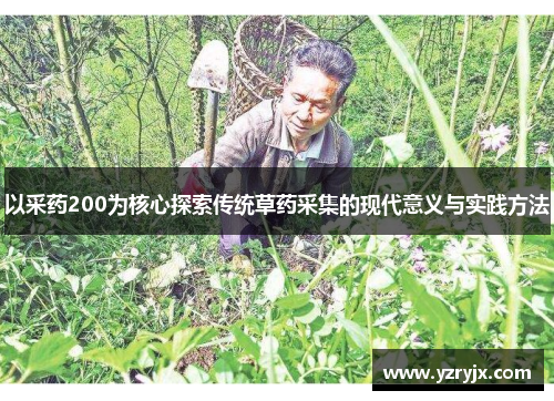 以采药200为核心探索传统草药采集的现代意义与实践方法