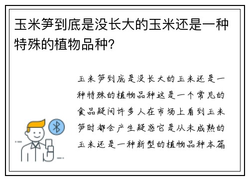 玉米笋到底是没长大的玉米还是一种特殊的植物品种？